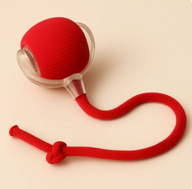 Pelota interactiva mascotas