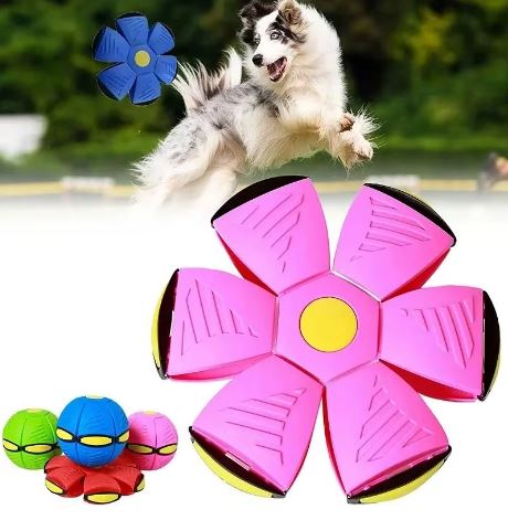 Pelota mágica rebote