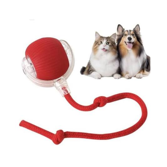 Pelota interactiva mascotas